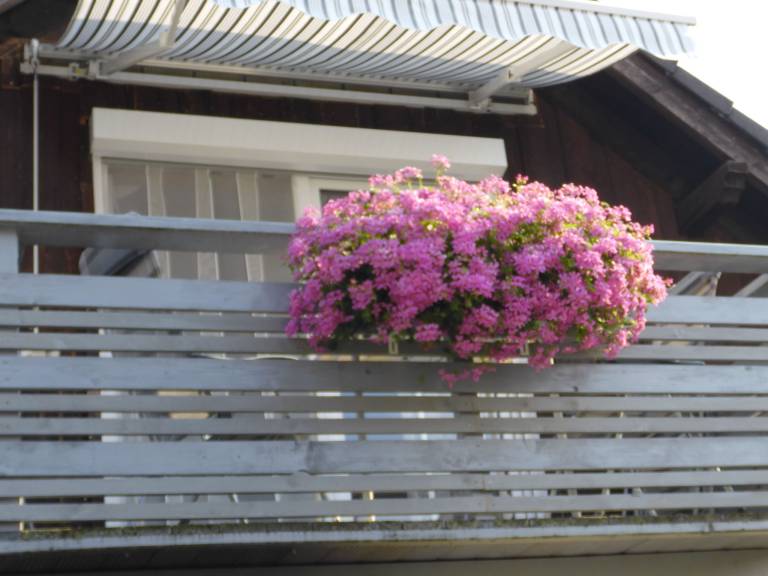 Holiday apartment with barbeque | Mountain view — photo 5