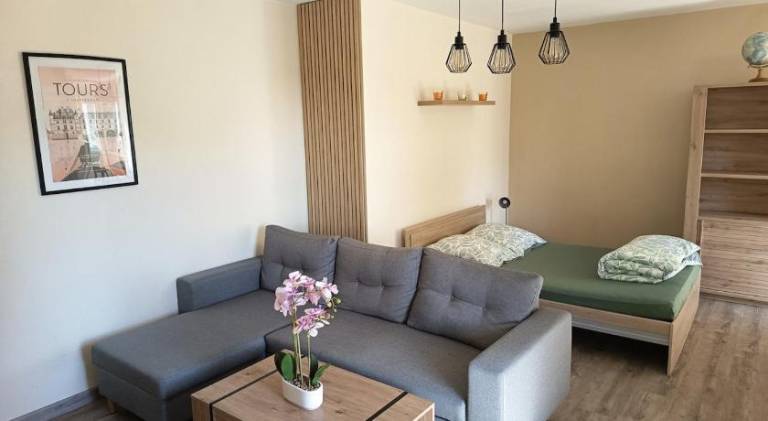 Holiday apartment with 1 room for 4 persons in Tours