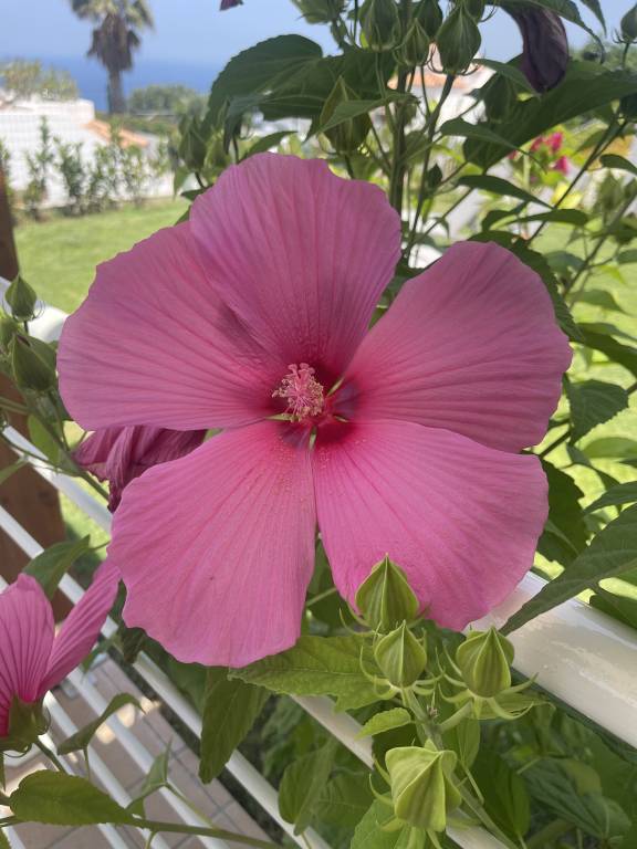 foto29