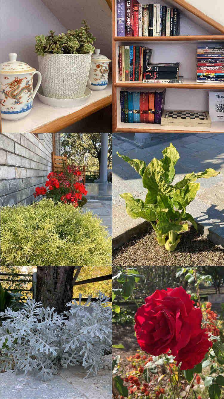 foto19