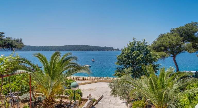 Beautiful rental apartment with patio, barbeque & garden | Suitable for remote work | Pets are welcome — photo 4