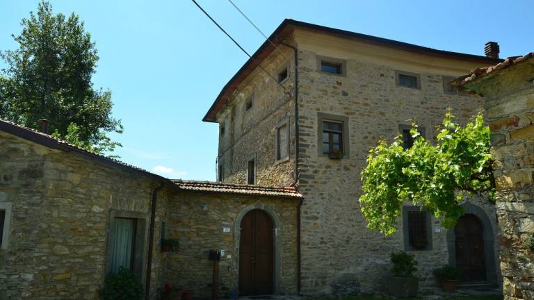 foto7