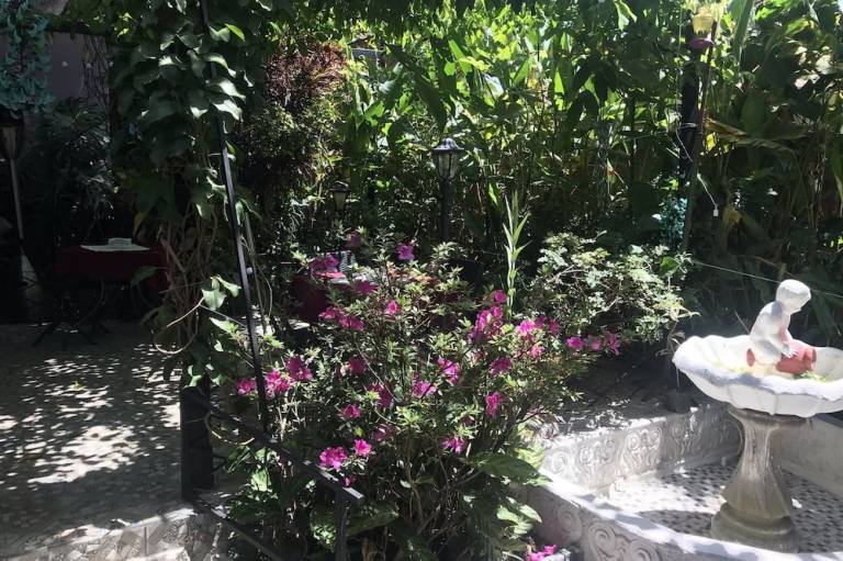 foto11