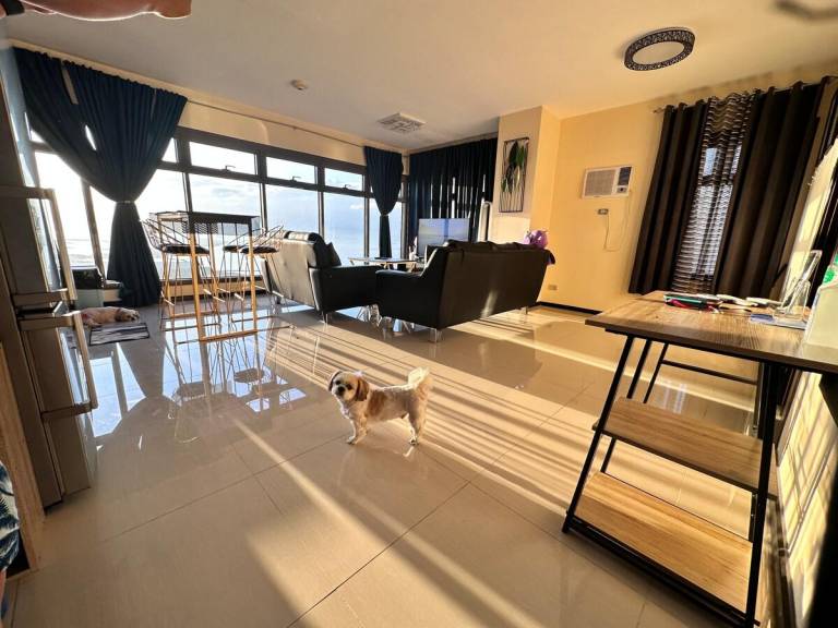 House with pool | Suitable for remote work | Pet-friendly — photo 5