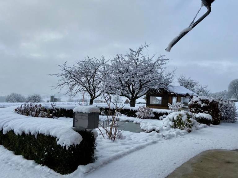 Vacation home with garden, grill & terrace | Nature view — photo 5