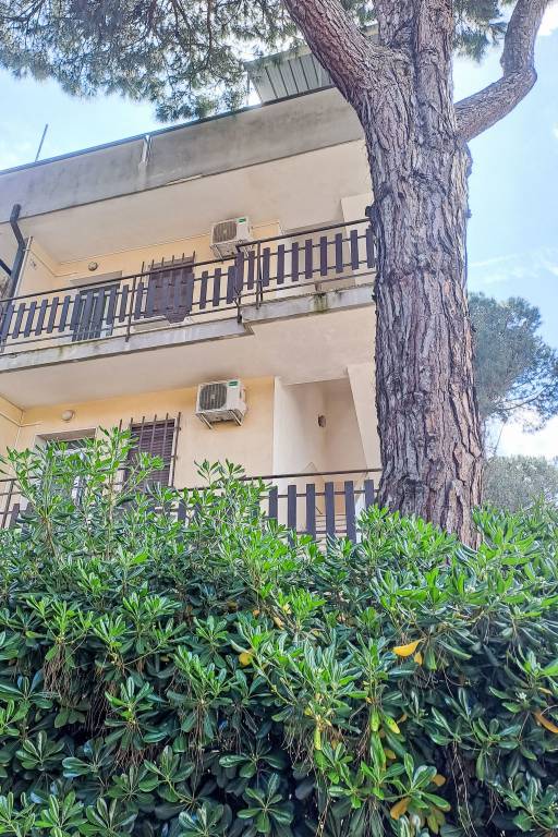 Appartement Rosolina Mare