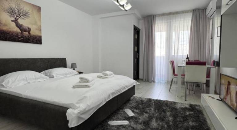 Rental apartment with 1 room for 2 persons in Bucharest