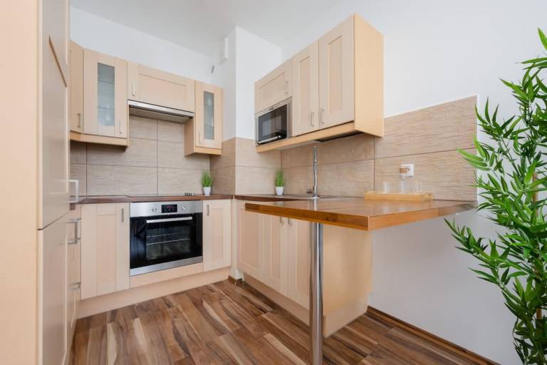 Apartment with 1 room for 4 persons — photo 3