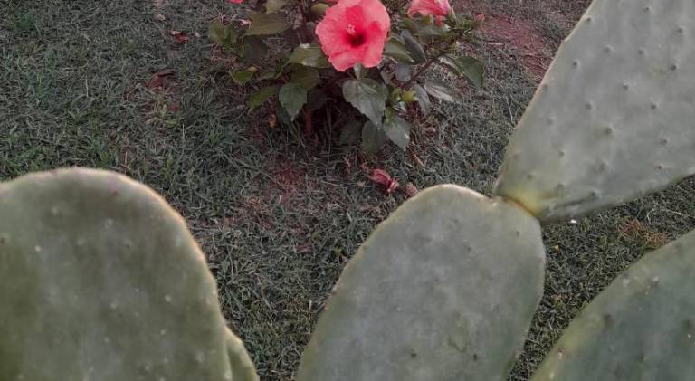 foto31