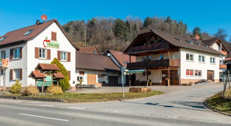 Rental apartment with grill & yard | Pets allowed in Konstanz