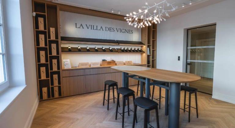 La Villa des Vignes — photo 5