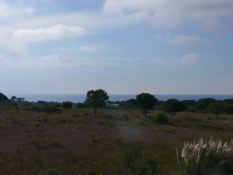 foto21