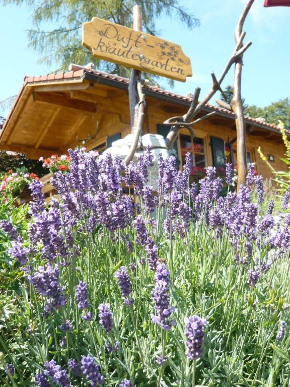 Landhotel Alphorn — photo 4