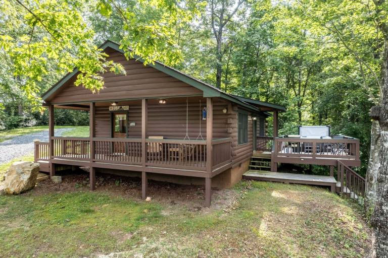 Cabin  Topton