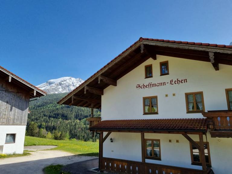 foto11
