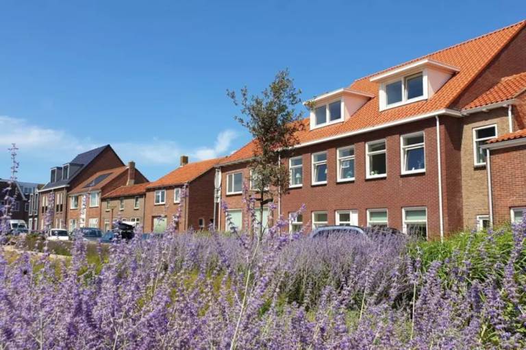 ZE1421 Ferienhaus im Zoutelande