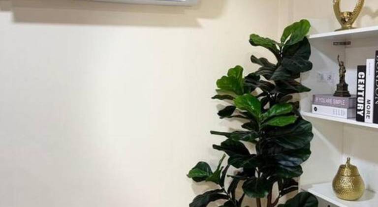 foto31