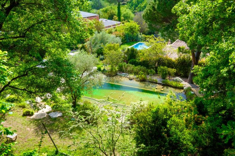 Holiday treehouse "Bagheera" with Shared Pool, Private Terrace & Wi-Fi in Saint-Paul-de-Vence