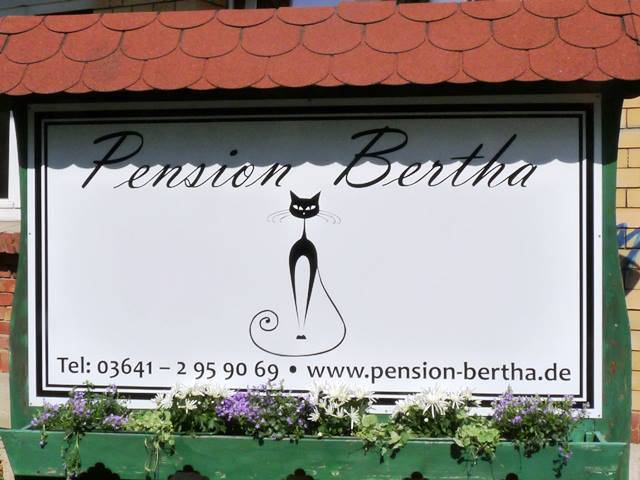 foto1