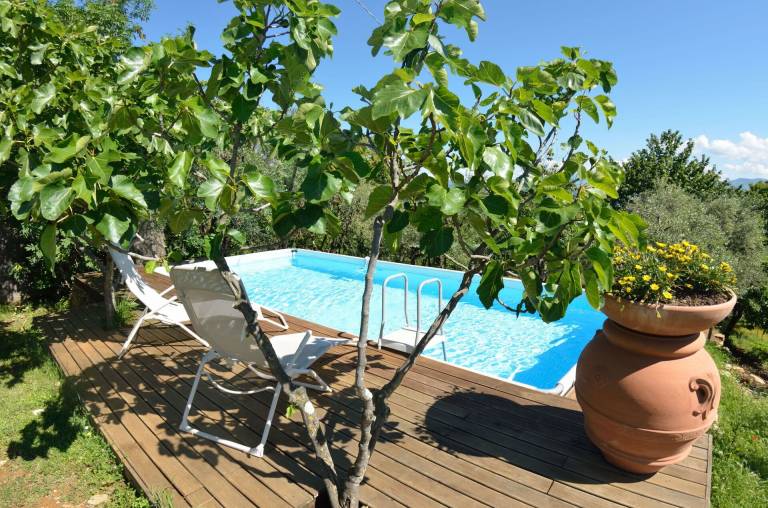 Family-friendly wonderful farm with private pool, garden & grill | Pet-friendly — photo 5