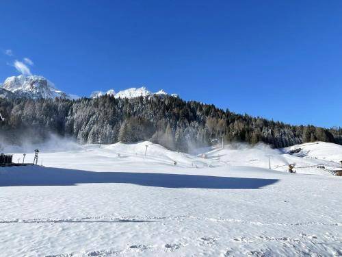 Appartamento Auronzo di Cadore
