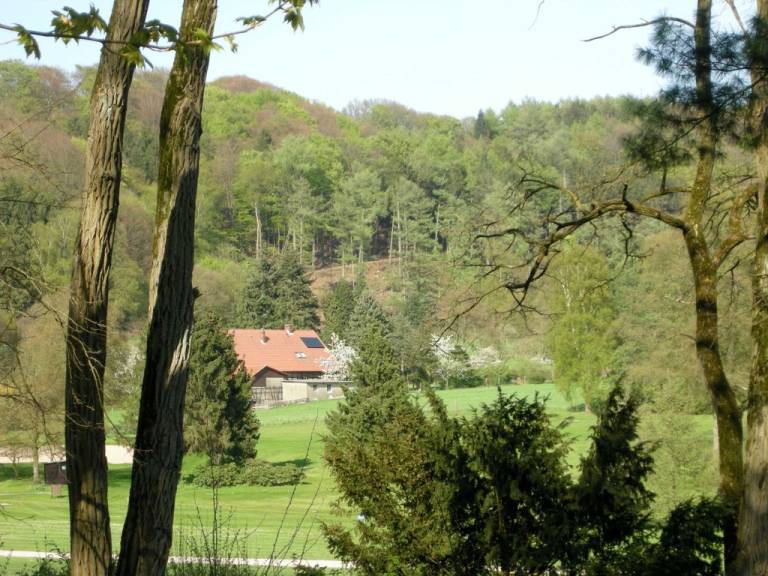 foto20