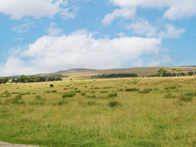 Cottage  Over Wyresdale