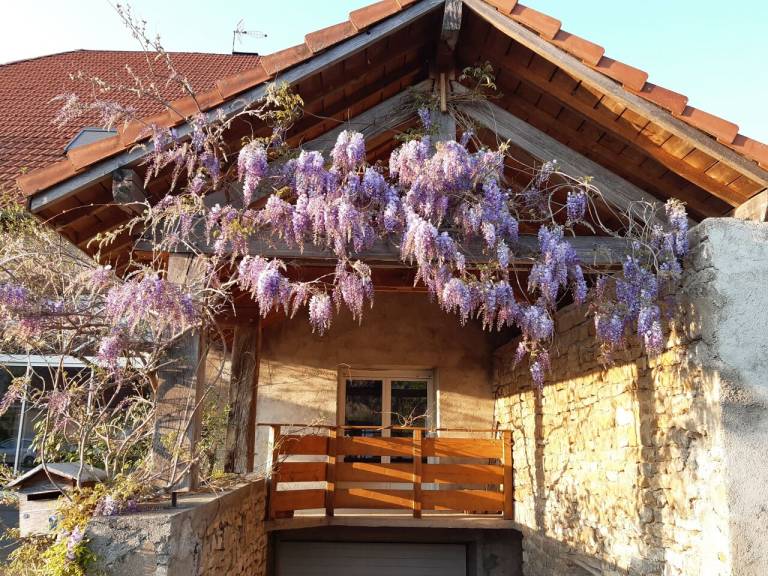 Maison de vacances Mésandans