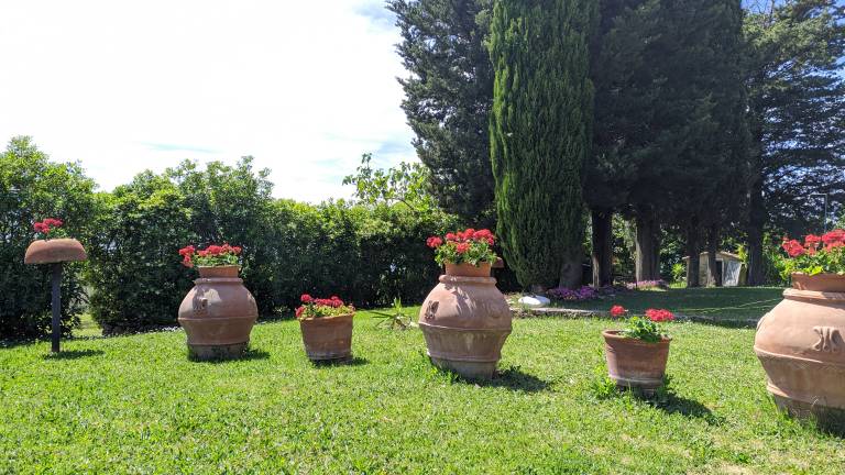 foto14