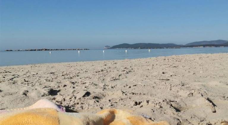 Charming holiday apartment | Close to the beach | Pets allowed — photo 4