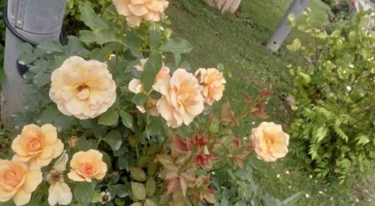 foto24
