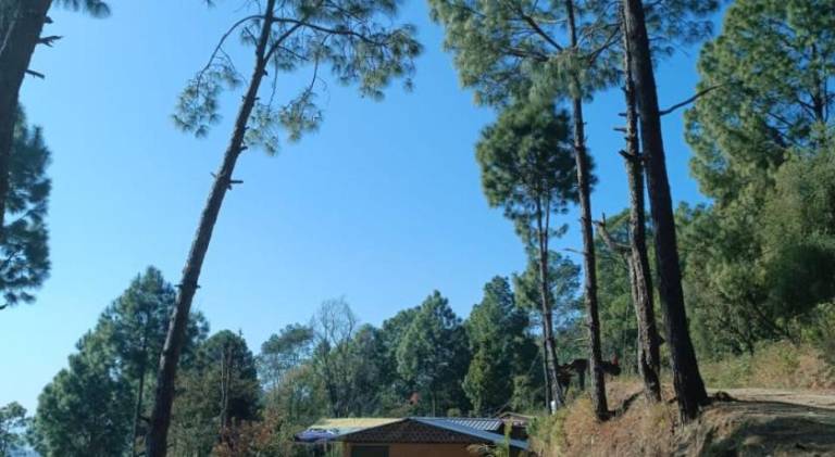 foto4