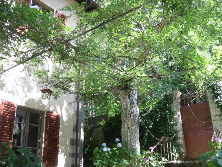 Villino Serena Di Lapigio Florence: Mountain View, Private Garden — photo 5