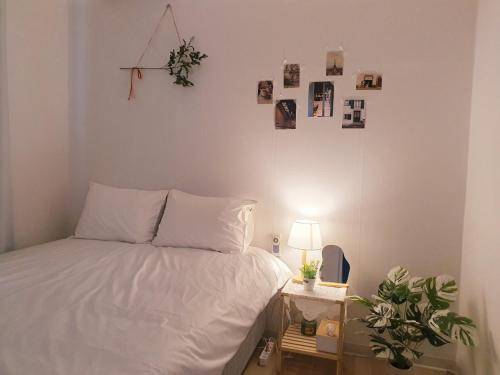 foto9