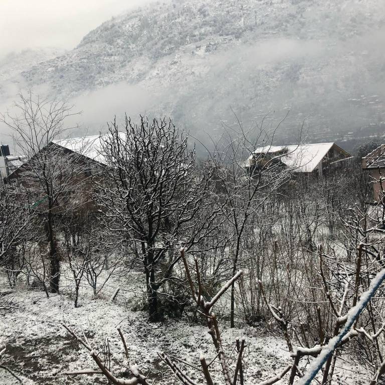 foto44