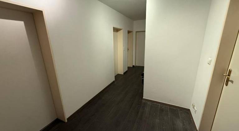 Charming rental apartment | Pets are welcome — photo 5