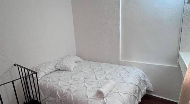 Nice holiday apartment | Pets allowed in Oaxaca