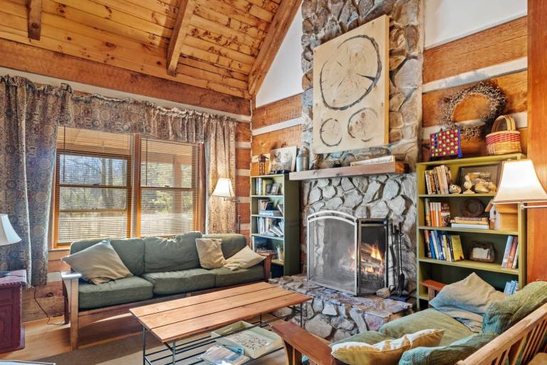 Rustic Cabin near Hiking and Waterfalls — photo 4