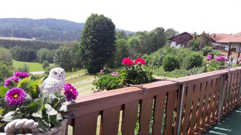 Ferienwohnung Bodenmais