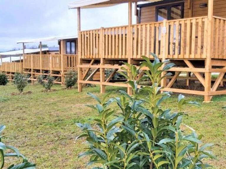 Family-friendly charming mobile home with heated pool & patio | Pets are welcome — photo 4