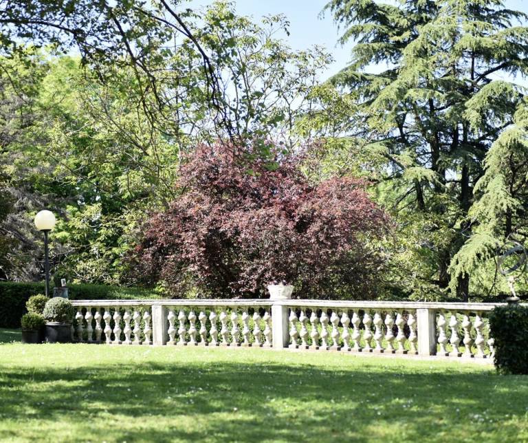 foto4
