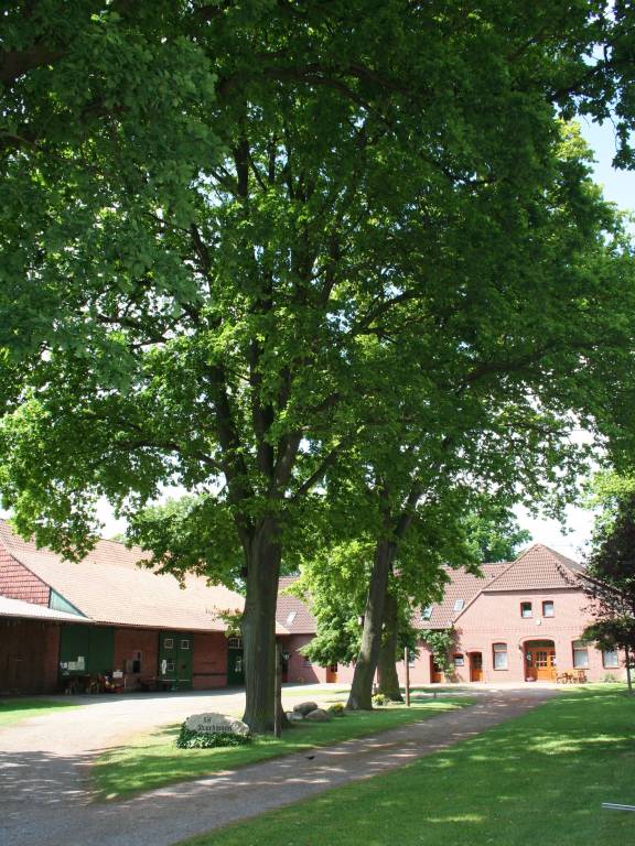 Ferienwohnung Mardorf