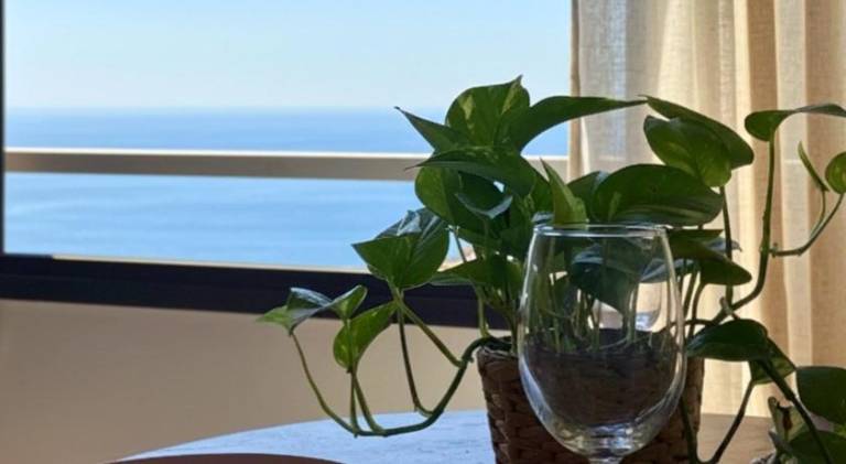 Apartment with pool | Pets allowed in Roquetas de Mar