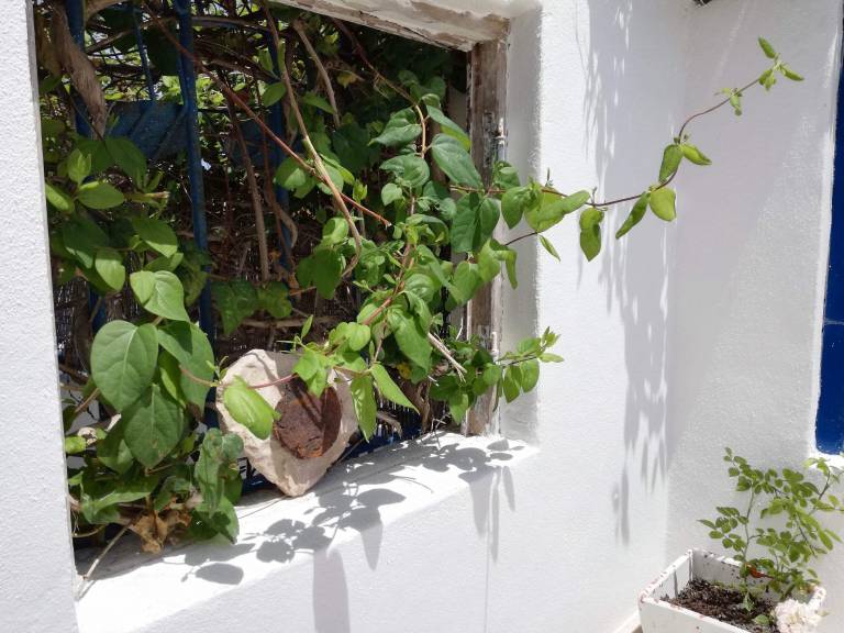 Casa Aldeia do Meco