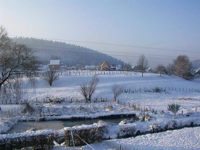 foto2