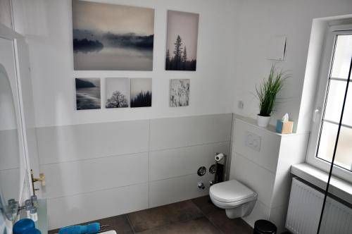 foto19