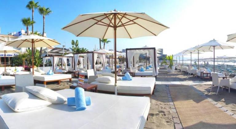 Wonderful apartment with patio | Close to the beach | Dogs allowed — photo 4