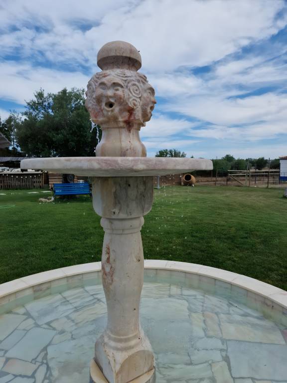 Family-oriented lovely finca with barbecue, private pool & fast internet | Garden view | Pet-friendly — photo 3