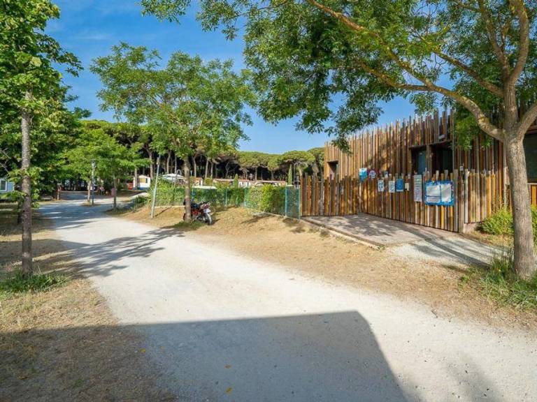Child-friendly nice mobile home with pool & patio | Pet-friendly — photo 3
