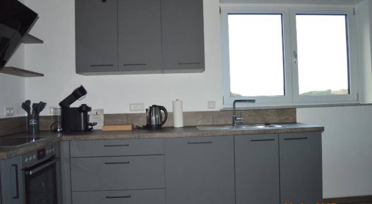 Apartment | Pets are welcome — photo 4